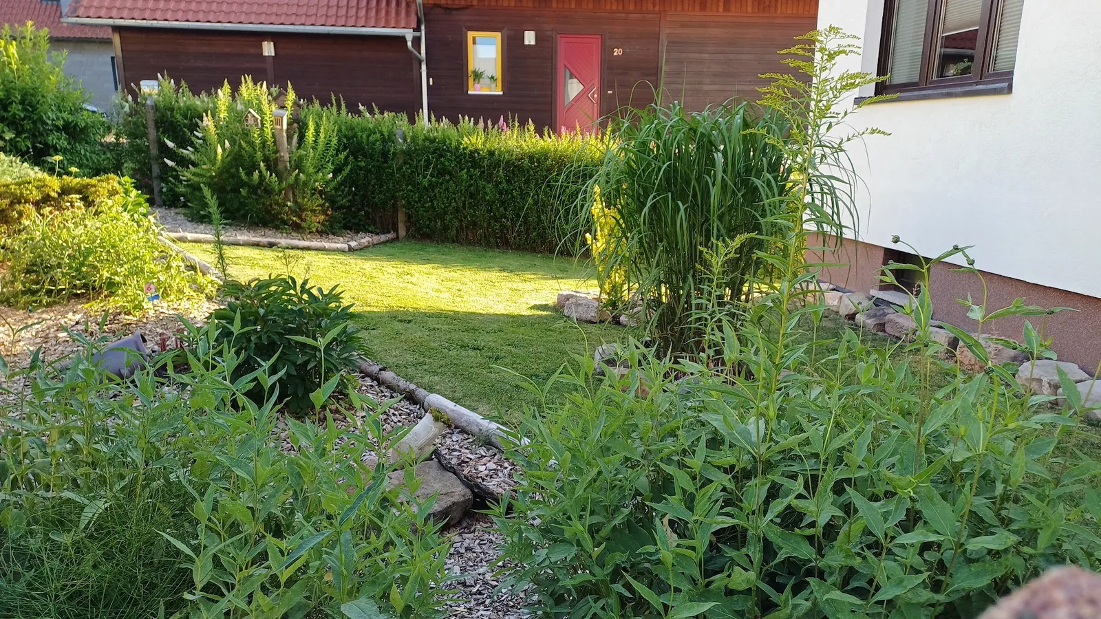Gepflegter Rasen mit Bepflanzung vor einem Wohnhaus in Schleusingen