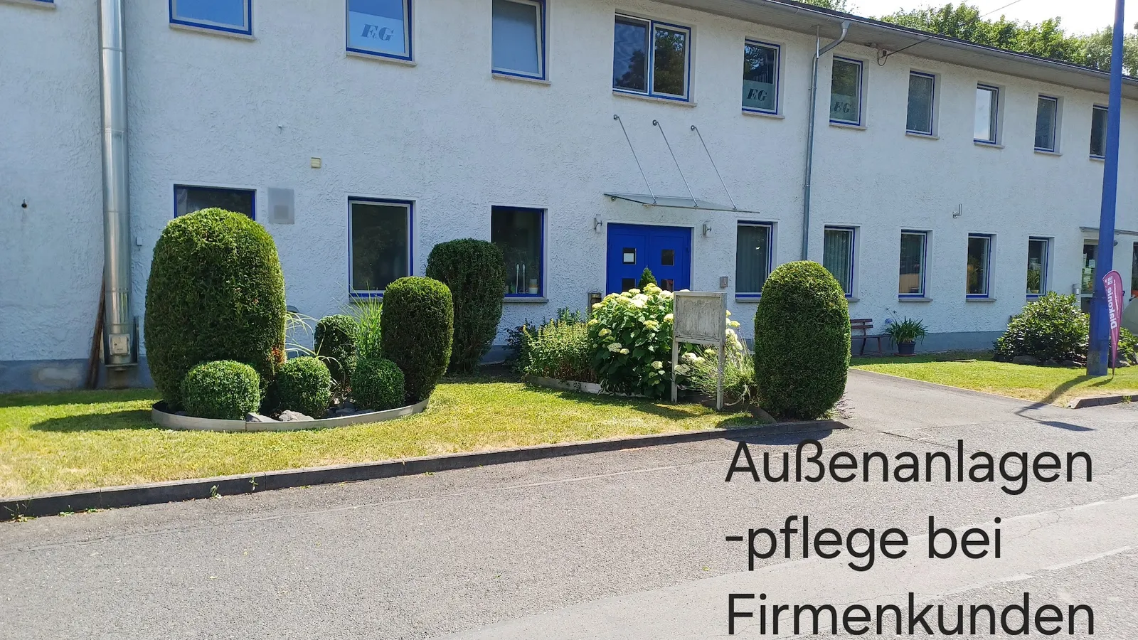 Gepflegte Außenanlage mit Formschnittgehölzen bei einem Firmenkunden